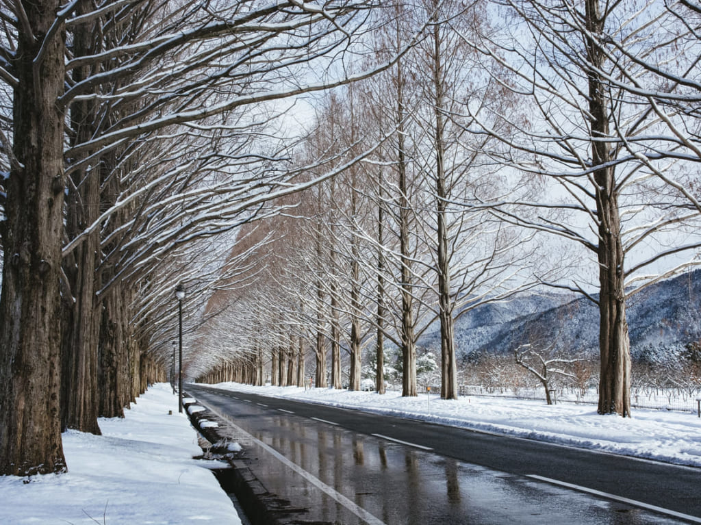 雪解け道