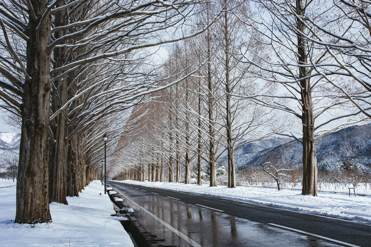 雪解け道