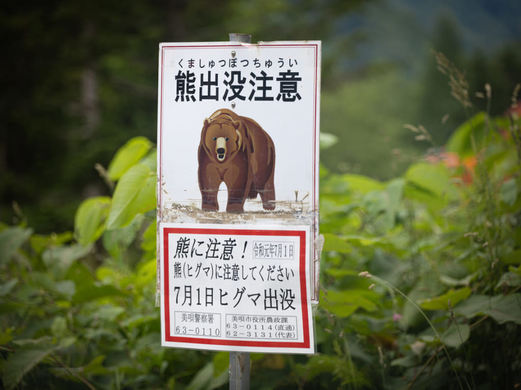 熊出没注意