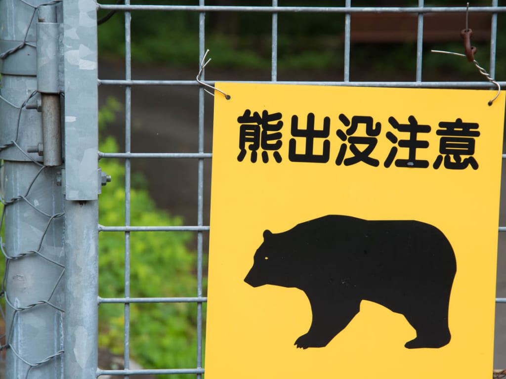 熊出没注意