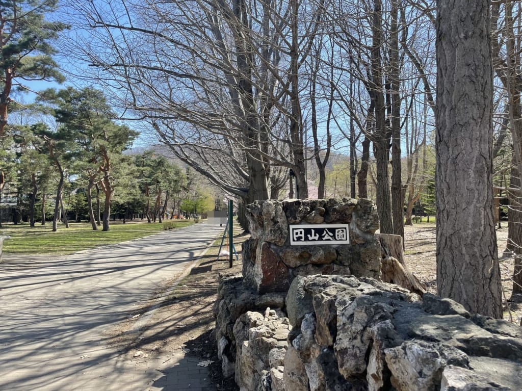 円山公園2022桜