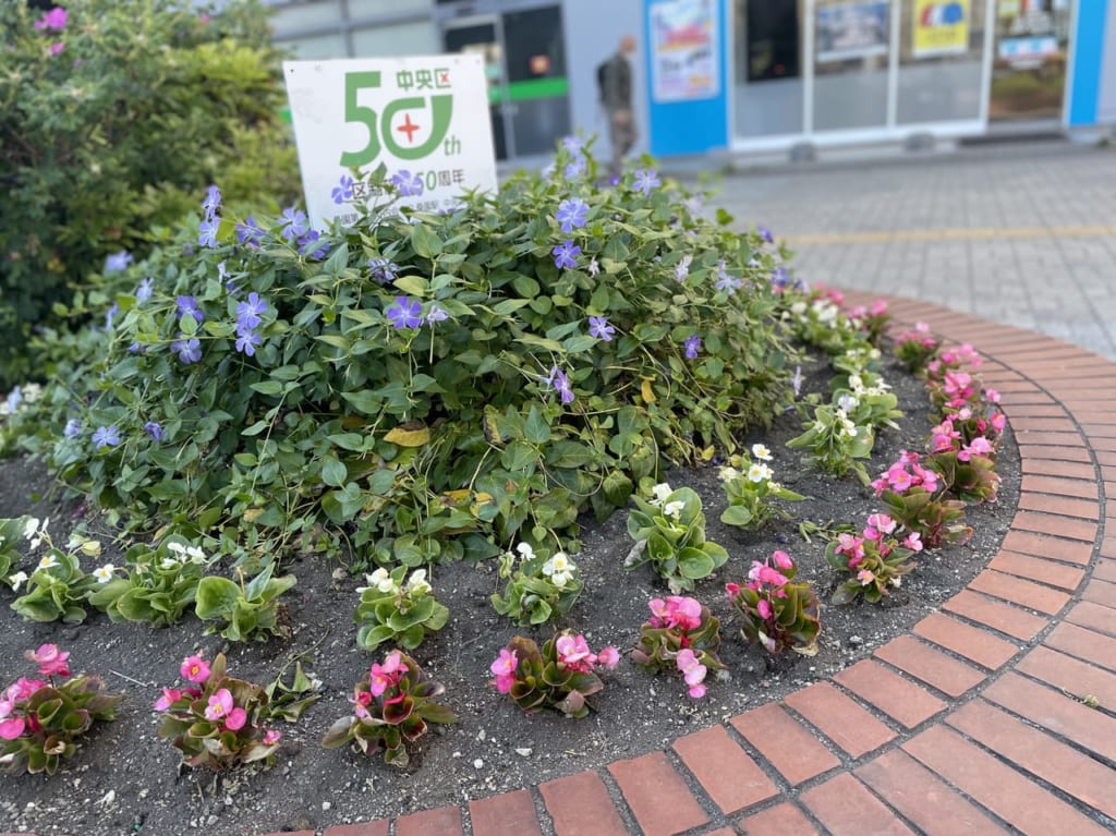 桑園駅前広場