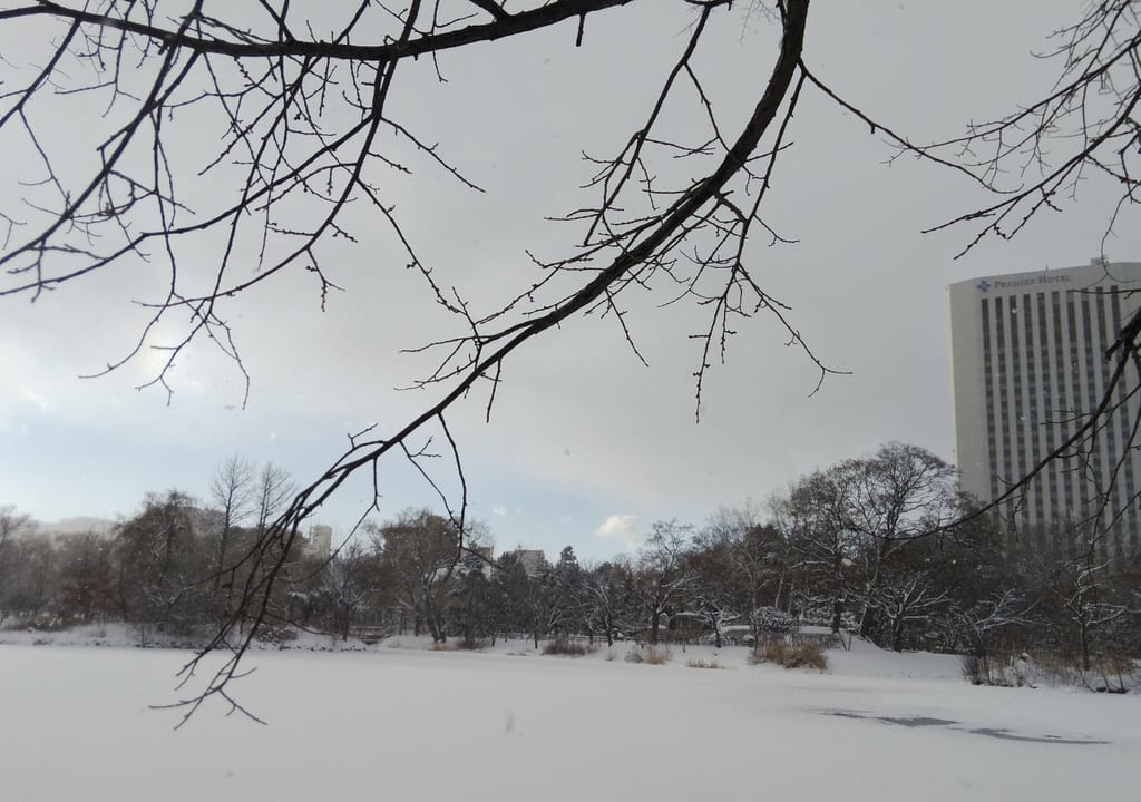 中島公園