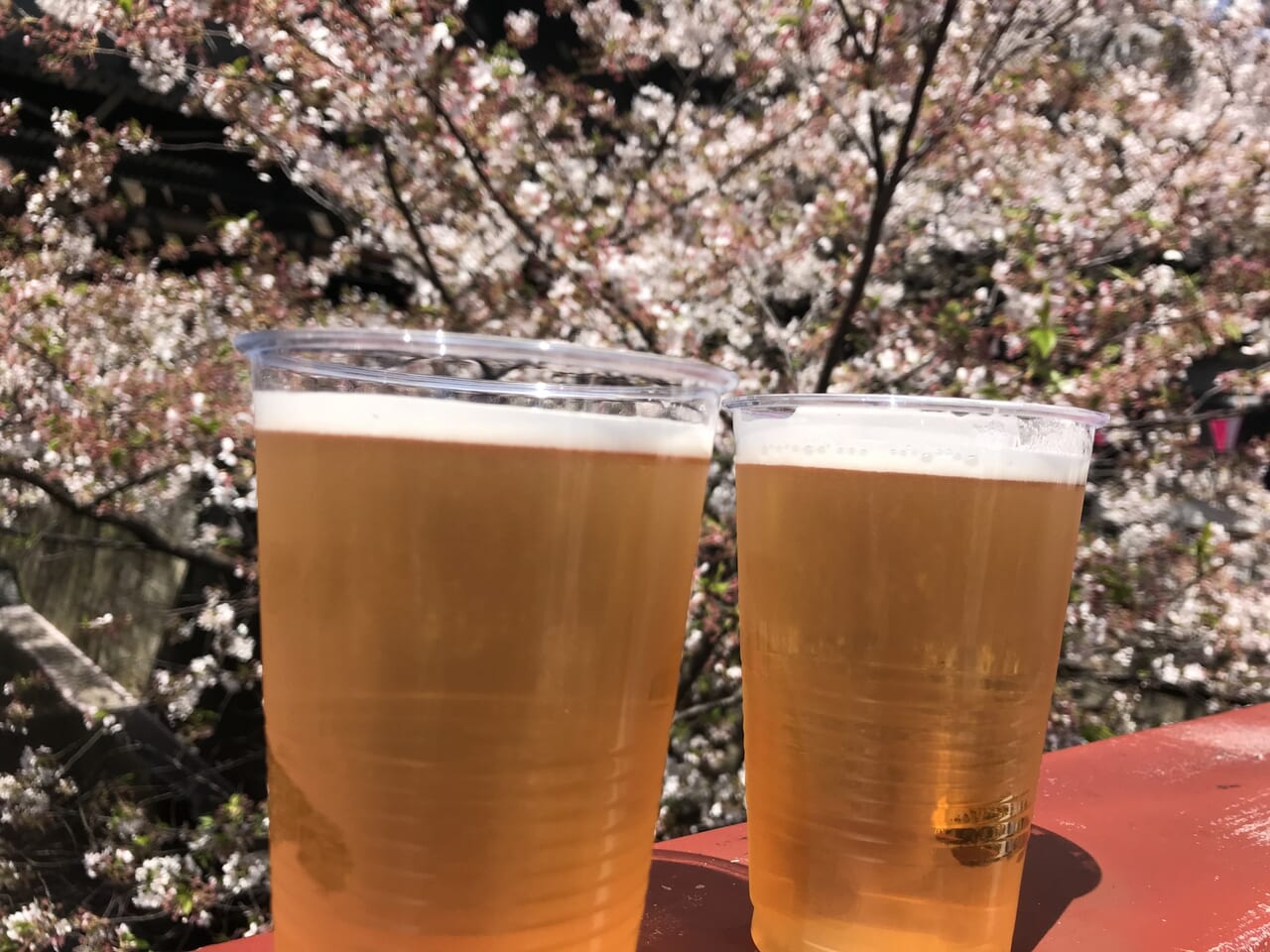 花見のビール